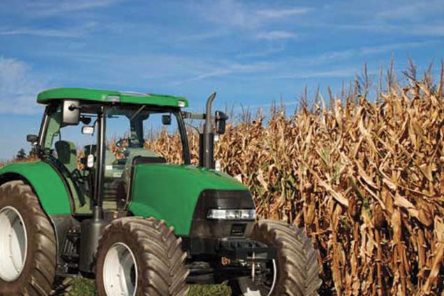 Tractor in a corn field
